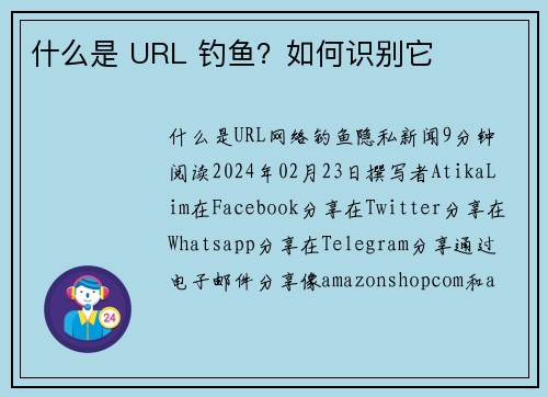 什么是 URL 钓鱼？如何识别它 