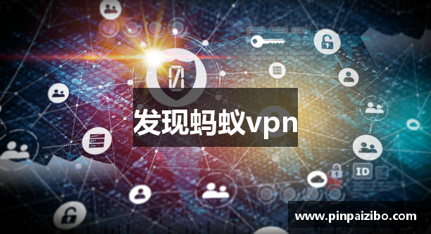 发现蚂蚁vpn